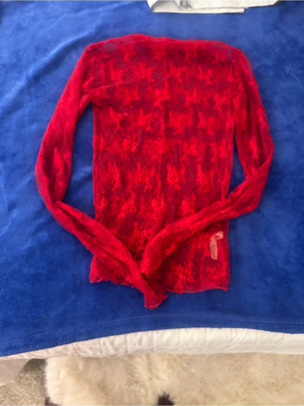 Free People Red Sheer Lace Long-Sleeve Top